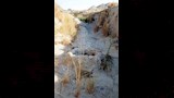 نبع العين ونظام الري القديم