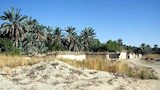 شريان مائي تحت الرمال.. "عين جالاو" بالفرافرة تبوح بأسرار هندسة الرومان 