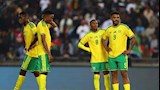 جنوب أفريقيا (2)_4
