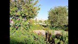 حدائق أسوان_7