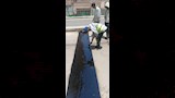 محافظ الجيزة يعلن الانتهاء من تطوير ورصف كوبري الحوامدية