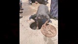 التبرك بمياه البلاعة 