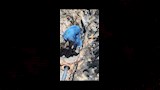 مياه القناه