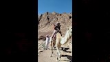 صعود الجبل بالجمال _4