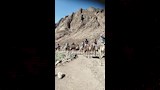 استمتاع السائحين بطبيعة سانت كاترين _1