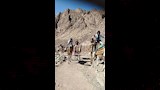 سفاري بالجمال _3