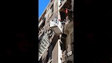 إنقاذ كلب من شرفة عقار بالإسكندرية (2)