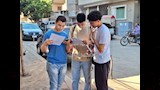 امتحان الفيزياء الثانوية الأزهرية