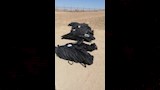 جنازة ضحايا حادث قطار السويس  (2)