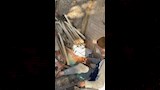 الفؤوس تحاوط الحاج حسني