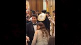 هاني رمزي يحتفل بزفاف نجله شادي