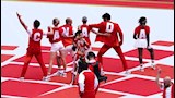 لقطات من حفل الافتتاح قبل مباراة كندا والبوسنة والهرسك (2) (1) (1)