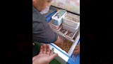 المضبوطات  
