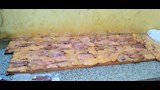 جانب من البطارخ المضبوطة