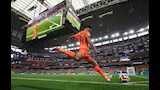 هولندا واليابان (20) (1)