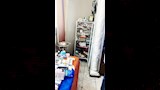 حملات لمديرية الصحة على العيادات الخاصة في الإسكندرية (6)