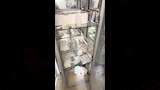 حملات لمديرية الصحة على العيادات الخاصة في الإسكندرية (2)