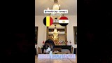 القط نيمبوس