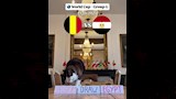 القط نيمبوس