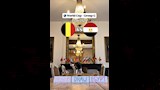 القط نيمبوس