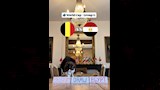 القط نيمبوس