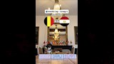 القط نيمبوس