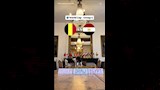 القط نيمبوس