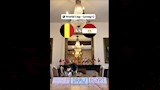 القط نيمبوس