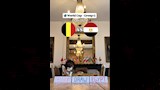 القط نيمبوس