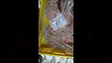 حملات مكثفة تكشف مخالفات غذائية في الاسكندرية (10)