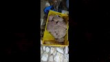 حملات مكثفة تكشف مخالفات غذائية في الاسكندرية (9)