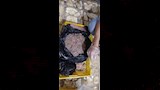 حملات مكثفة تكشف مخالفات غذائية في الاسكندرية (5)
