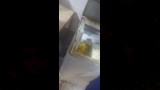 حملات مكثفة تكشف مخالفات غذائية في الاسكندرية (7)