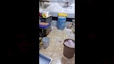 حملات مكثفة تكشف مخالفات غذائية في الاسكندرية (1)