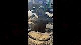تركيب إشارة مرور بطريق مصطفى كامل (7)