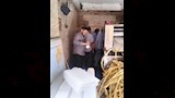 ضبط نصف كيلو من المادة الخطرة في محل عصير (4)