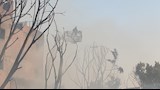 حريق مخزن الأخشاب في مصر القديمة (6)