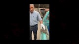 العثور على تمساح في المنوفية (6)