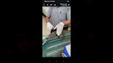 العثور على تمساح في المنوفية (11)