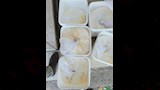 ضبط 300 كيلو زبدة مجهولة المصدر ومواد منتهية الصلاحية (1)_3