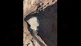 شقوق طريق منقباد وسلام بأسيوط (4)_5