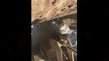 شقوق طريق منقباد وسلام بأسيوط (1)_2