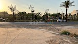 أرض الزمالك (14)