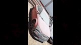 جانب من السيارات المطروحة بالمزاد
