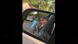 أبناء إينزو فرنانديز
