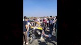 الجبنة آخر ما تبقى من رحلة الأسرة