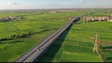 محور الزقازيق (6)