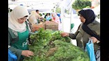 محافظ الإسكندرية يتفقد سوق المزارعين (2)_1