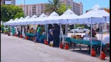 محافظ الإسكندرية يتفقد سوق المزارعين (3)