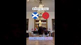 القط العراف 4